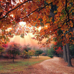 Meet your Posher, Hoffmann